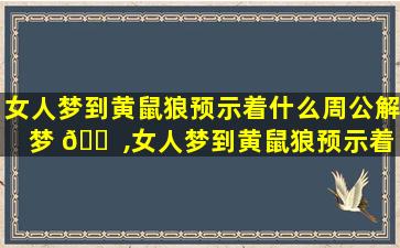 女人梦到黄鼠狼预示着什么周公解梦 🐠 ,女人梦到黄鼠狼预示着什么 🌷 周公解梦梦见蛇
